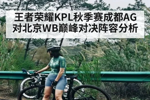 王者荣耀KPL秋季赛成都AG对北京WB巅峰对决阵容分析