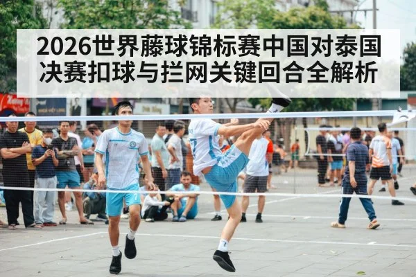 sepak takraw net block